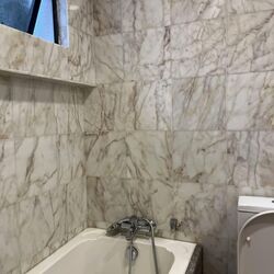 Tanglin Park (D10), Condominium #557817281